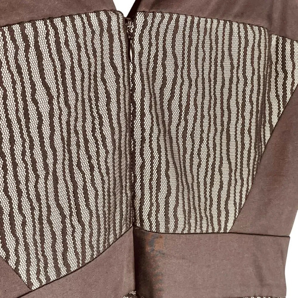 Robert Rodriguez Zebra Stripe Lace Sleeveless Flared Dress - Picture 11 of 14